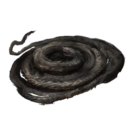 Serpent's Memory