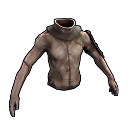 Leichter Frankensteintorso