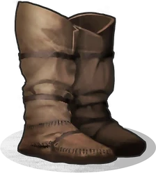 Bottes en peau