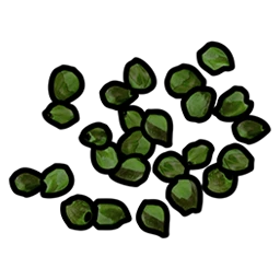 Green Berry Seed