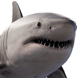 Shark