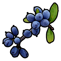 Amora Azul