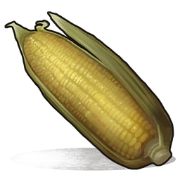 Corn