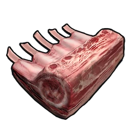 生イノシシ肉