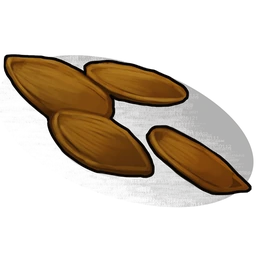 Pumpkin Seed