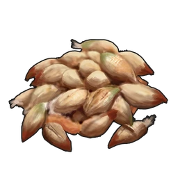 Rose Seed