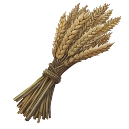 Blé