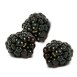 Black Raspberries