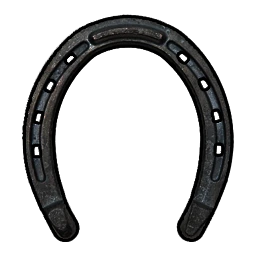 Basic Horse Shoes