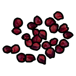 Graine de baie rouge