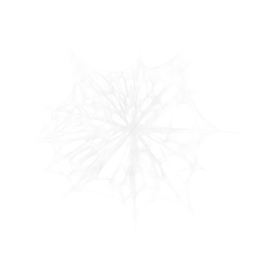 Spider Webs