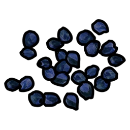 Blue Berry Seed