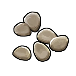 Potato Seed