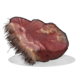 Raw Bear Meat