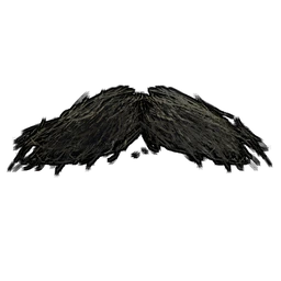Moustache du Movember