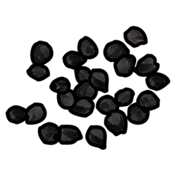 Black Berry Seed