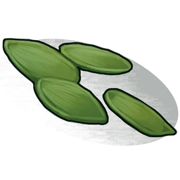 Hemp Seed