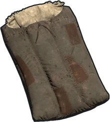 Sleeping Bag