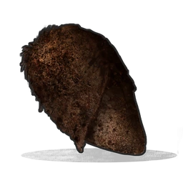 Burnt Chicken