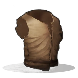 Hide Vest