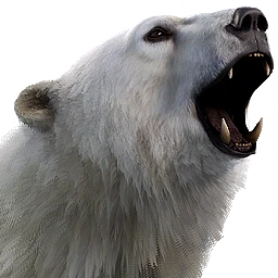 Polar Bear