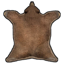 Bear Skin Rug