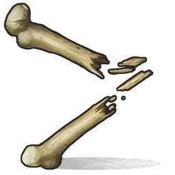 Bone Fragments