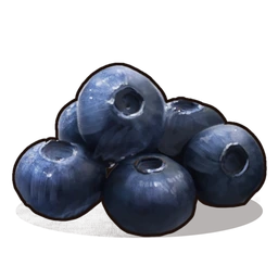 Blueberries