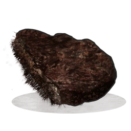 Burnt Bear Meat
