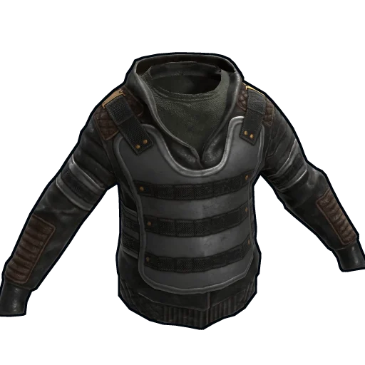 Charitable Rust 2017 Hoodie