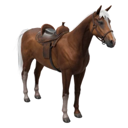 Horse