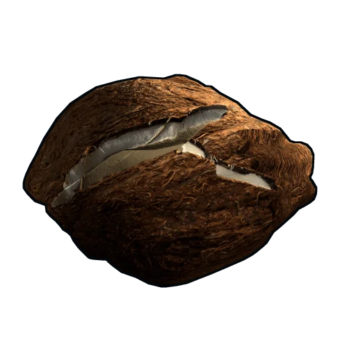 Coconut Rock