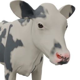 Calf