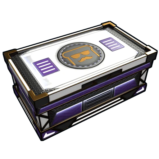disguisedtoast Large Box