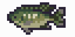 Gutter Tilapia