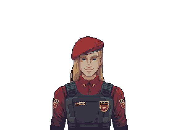 Security Inspector