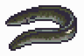 Eel